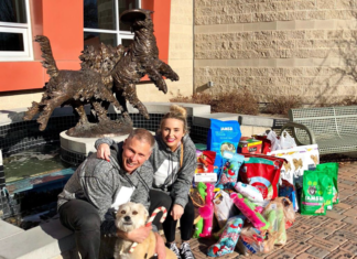 have you ever evicted a dog and do landlords know the facts about emotional support animals and service animals