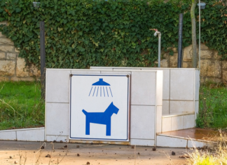 Back to Basics: What Today’s Residents Want Operators should concentrate on the basics of what residents want so here are 4 upgrade measures to contemplate for capital improvements.