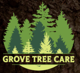 Generally, landlords are responsible for tree maintenance on their rental property unless the lease specifically states otherwise