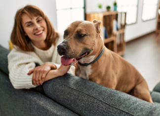 Zillow predicts in 2025 that rent concessions will decline and more rental properties will become pet-friendly.