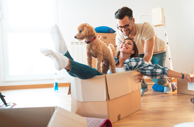 Colorado Governor Jared Polis signed H.B.25-1207, a pet-inclusive housing bill removing barriers to housing for pet owners