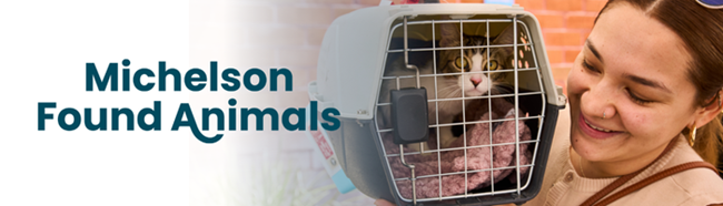 Keep pets safe inside July 4 as more pets go missing around the 4th so here are tips, resources and why microchipping is important.