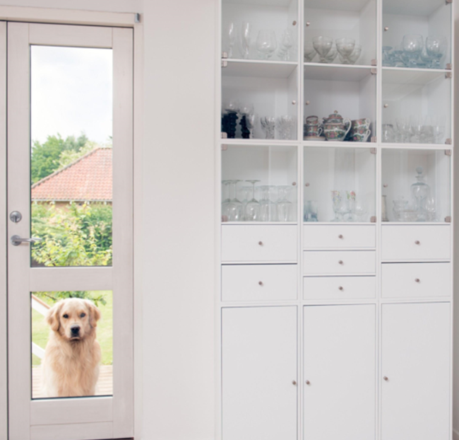 Here are 5 exterior improvement suggestions for your rental that will get you the best rent from the best tenants the first time.