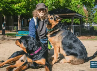 Legal scrutiny of support animals is rising but people don't misrepresent animals to gain advantage as rental housing often leaves no choice