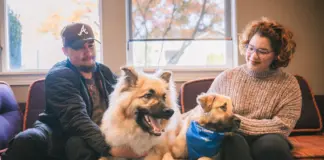 Los Angeles County Supervisors are planning to consider a pet-including housing ordinance with critical housing stability implications.