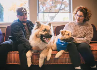 Los Angeles County Supervisors are planning to consider a pet-including housing ordinance with critical housing stability implications.