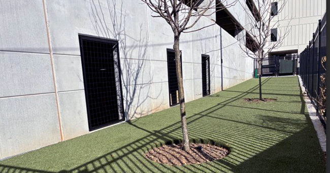 Dog-friendly apartments nationwide are competing with single-family homes, not other apartments-embracing pets improves financial performance