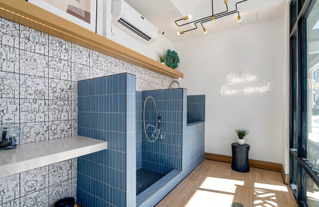 Dog-friendly apartments nationwide are competing with single-family homes, not other apartments-embracing pets improves financial performance