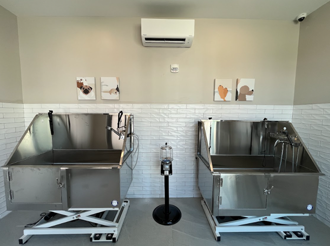 Dog-friendly apartments nationwide are competing with single-family homes, not other apartments-embracing pets improves financial performance