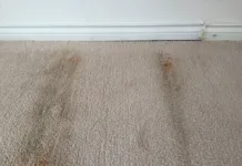 Hank: How Often Do I Have To Replace Carpet In My Rental? How often to replace carpet in your rental is a question that comes up frequently and is the question this week from David.