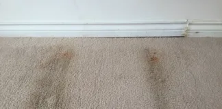 How often to replace carpet in your rental is a question that comes up frequently and is the question this week from David.