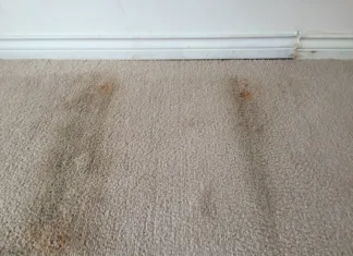 How often to replace carpet in your rental is a question that comes up frequently and is the question this week from David.