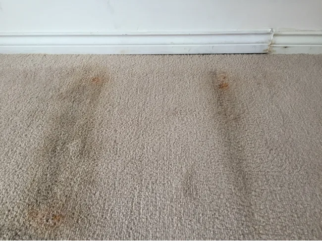 5-12-26 landlord hank do i have to replace worn carpet How often to replace carpet in your rental is a question that comes up frequently and is the question this week from David.