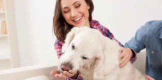 California landlords will have to put all pet policies into writing and provide to tenants after the California pet policy law was signed